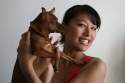 Japan Times