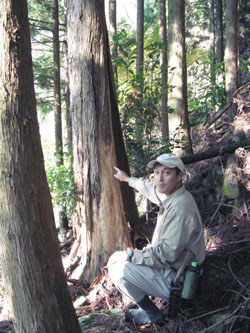 Japan Times