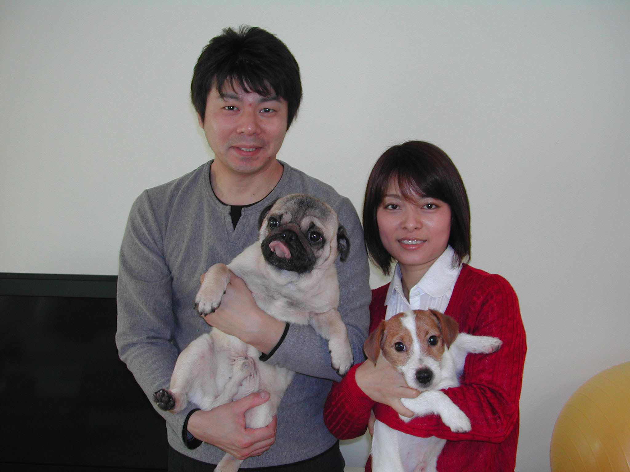 Japan Times