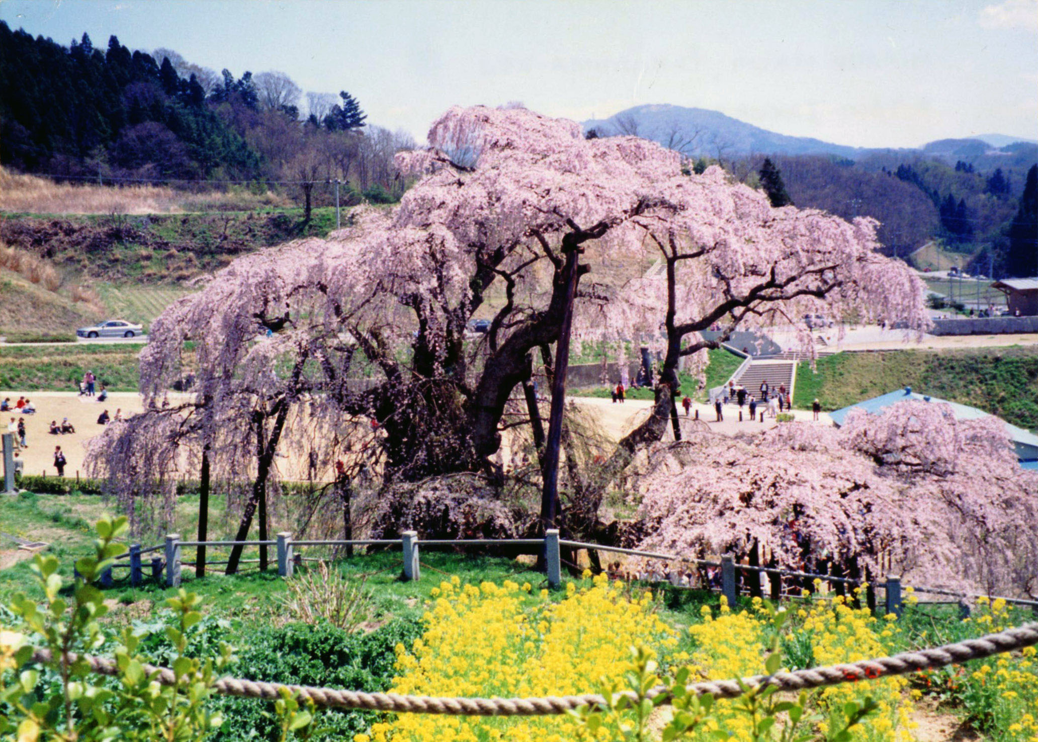 Japan Times