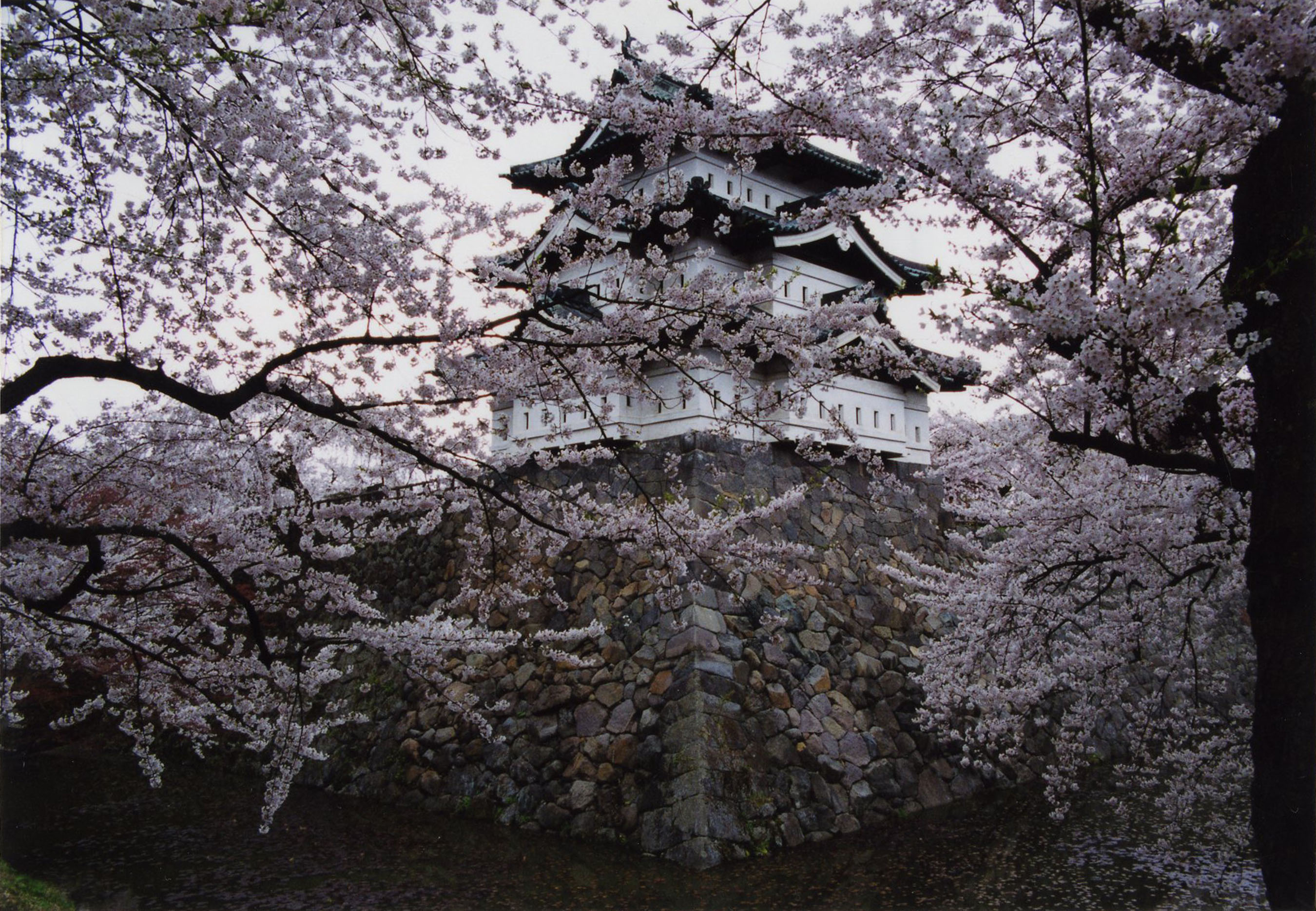 Japan Times