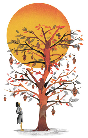 Japan Times