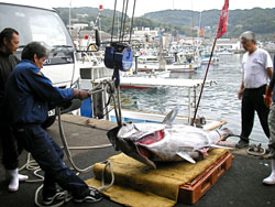 Japan Times