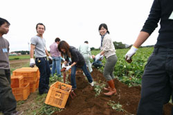 Japan Times