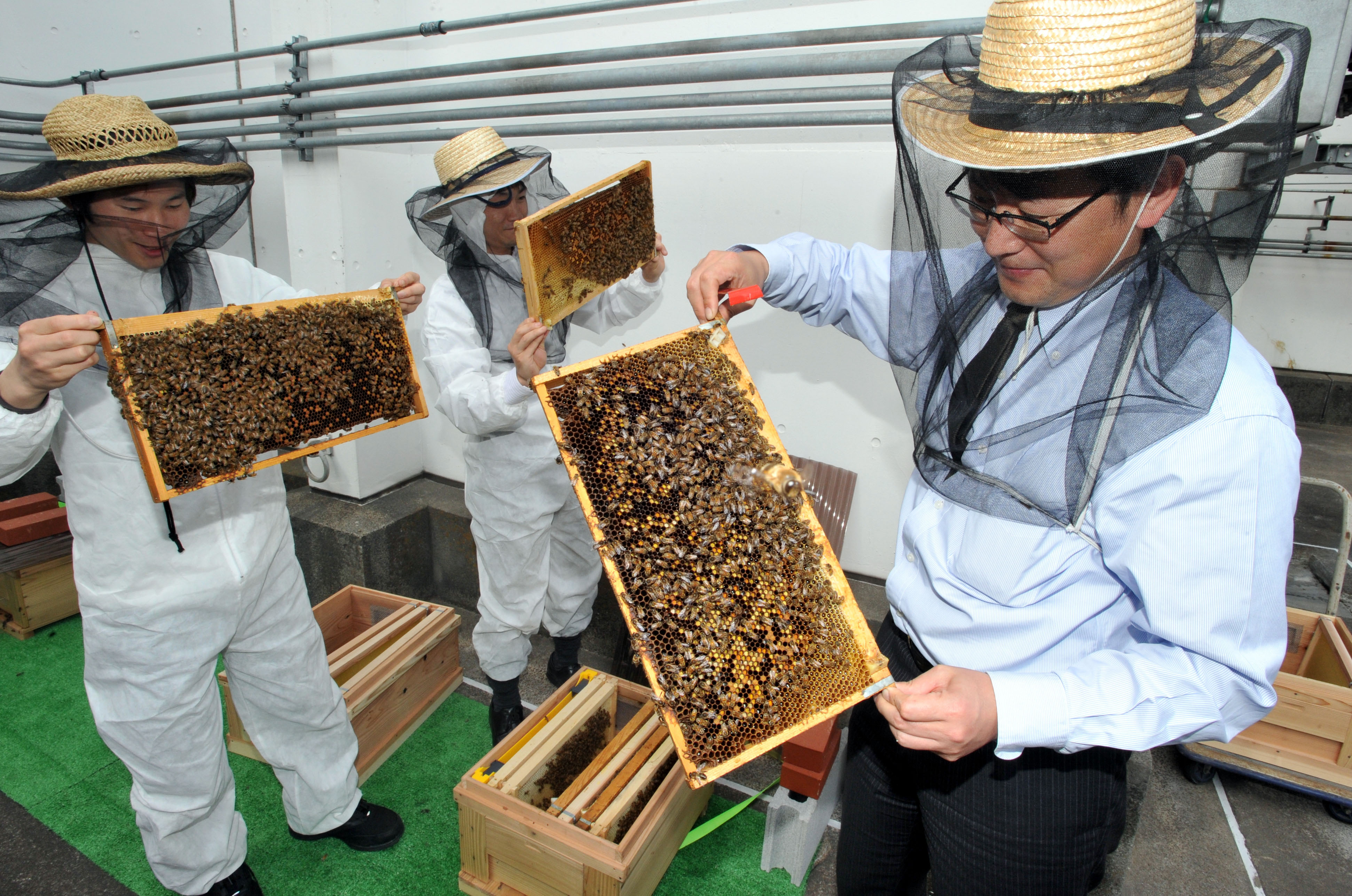 Japan Times