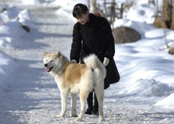 Japan Times