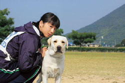 Japan Times