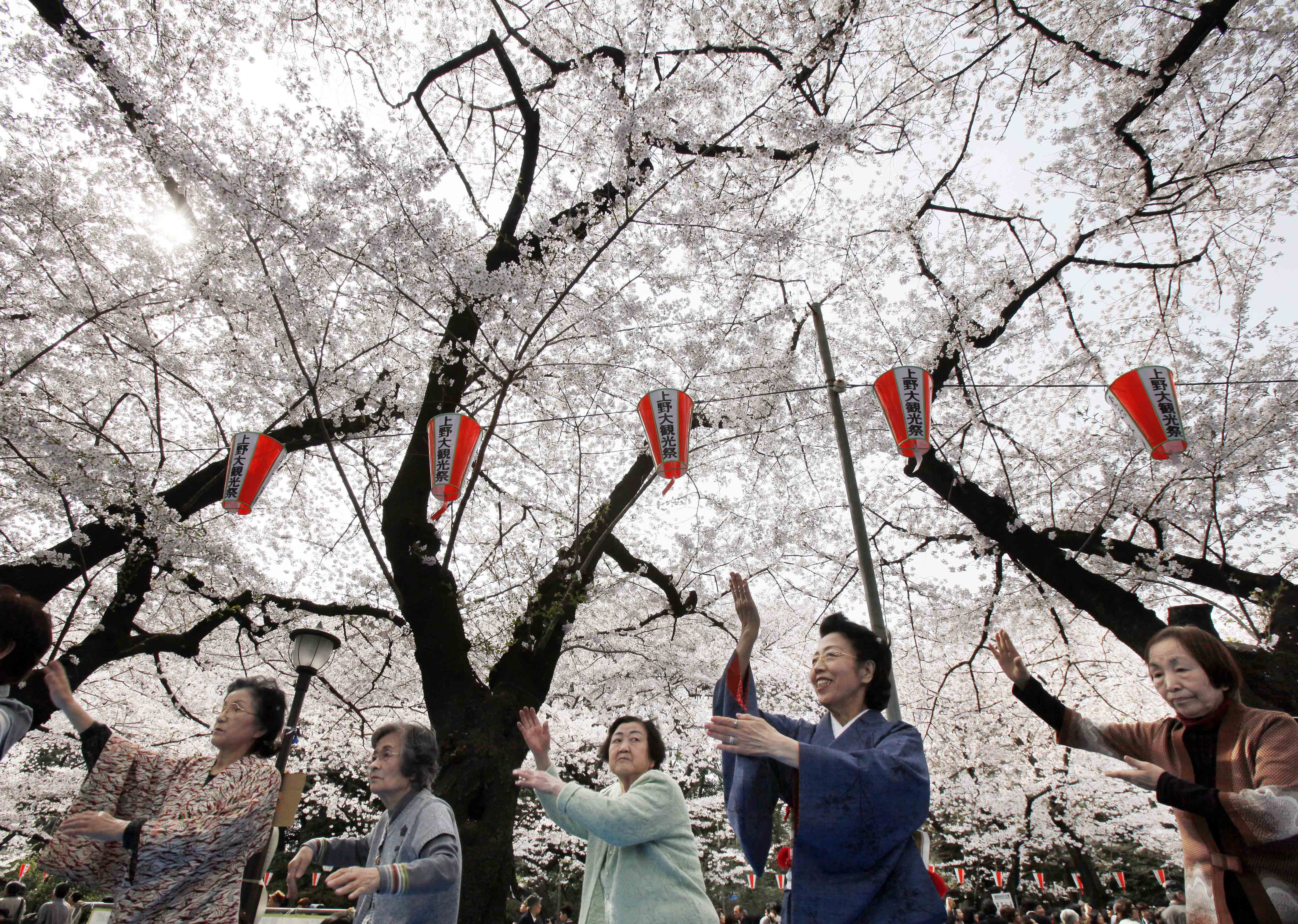 Japan Times