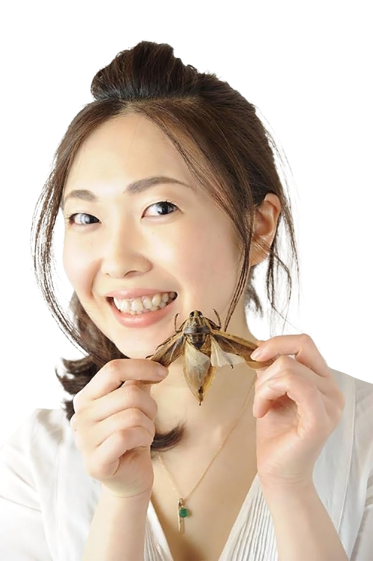 Japan Times